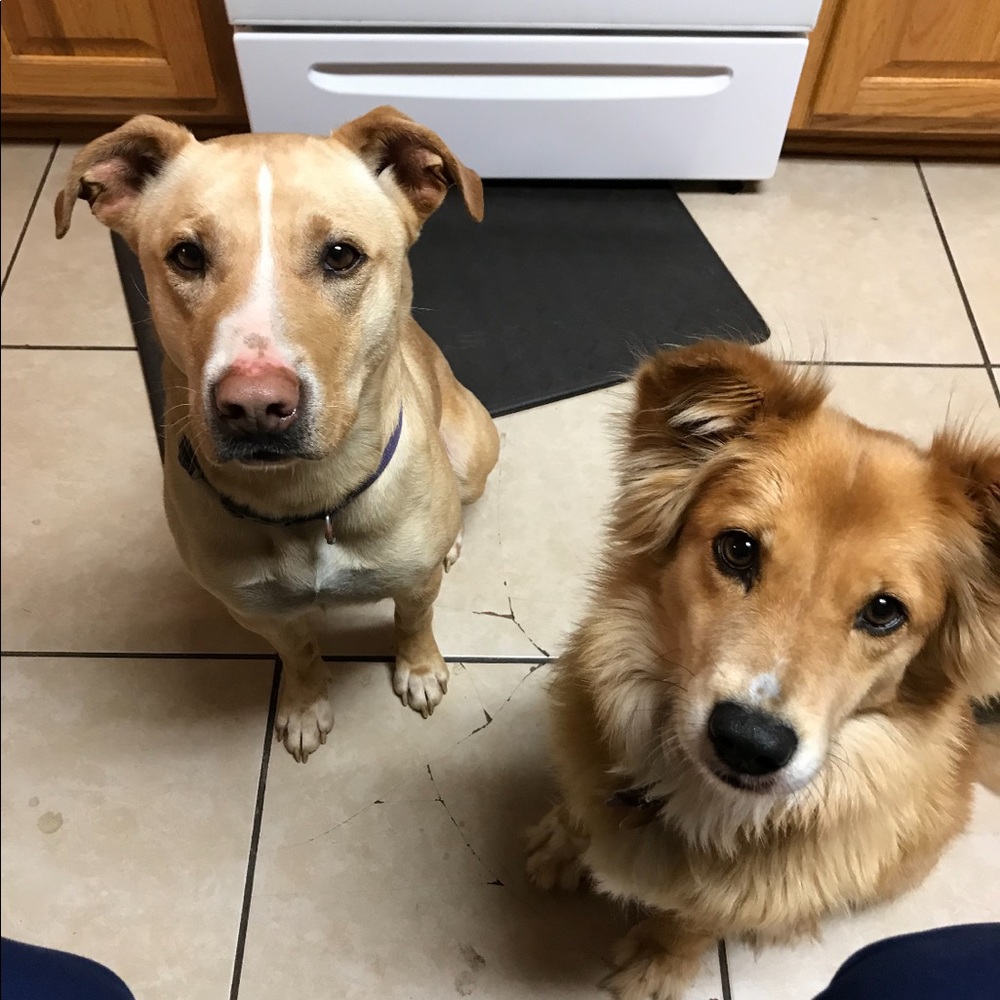 Meet your Posher, Becky